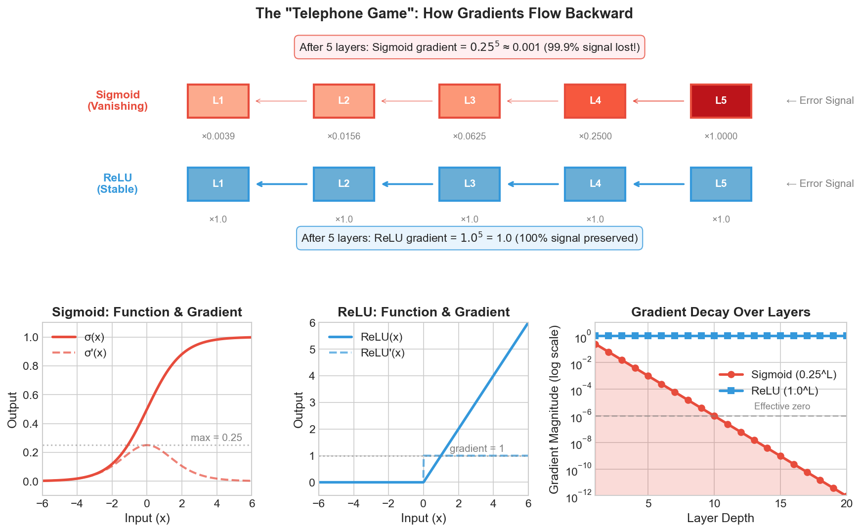 Visual comparison of gradient flow between ReLU and Sigmoid activation functions