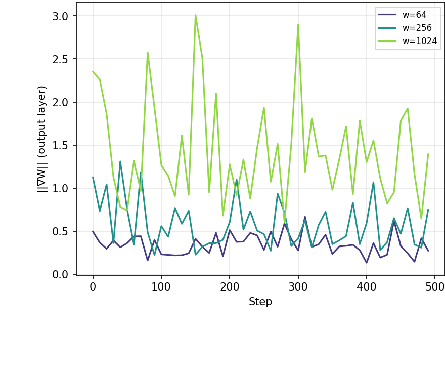 Gradient norm evolution during training for different widths